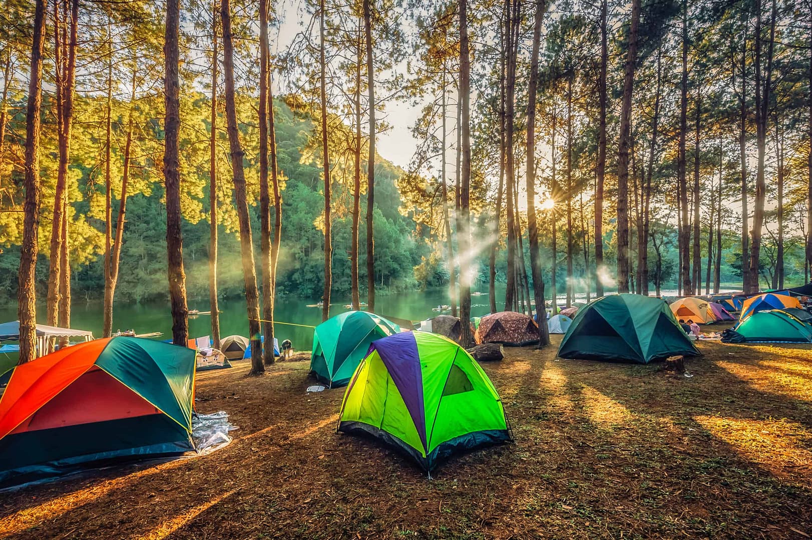 A group of tents set up in a Virginia State Park.