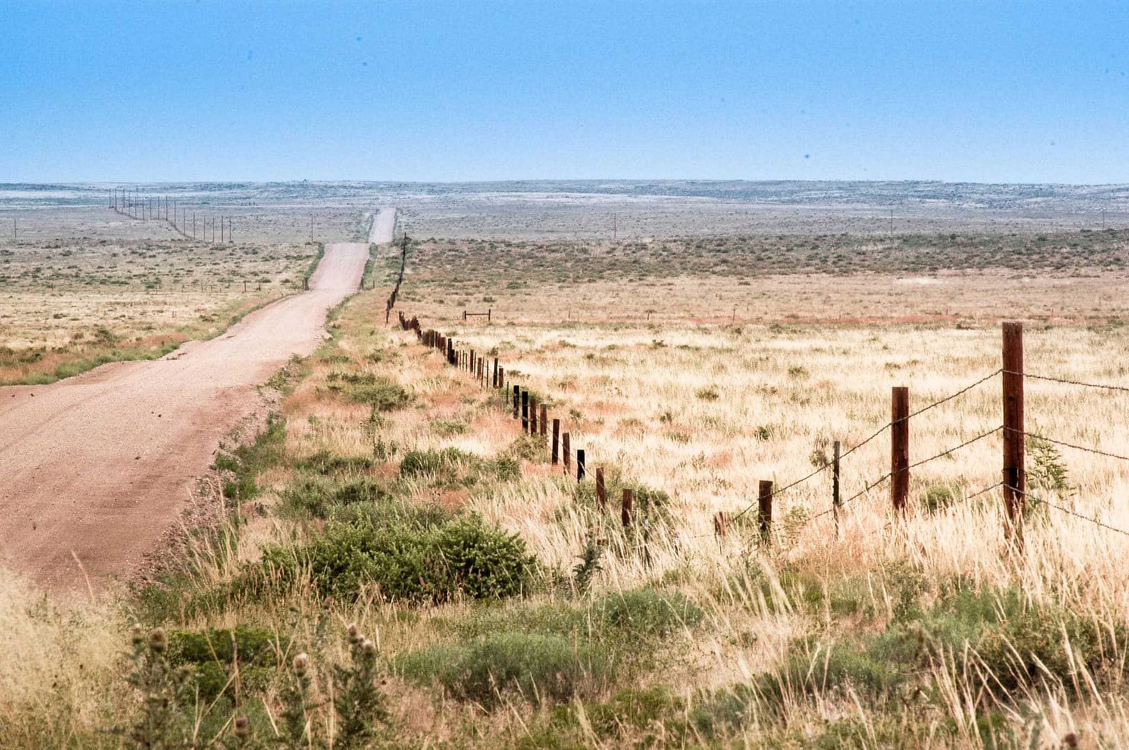 A dirt road in the middle of Colorado County.