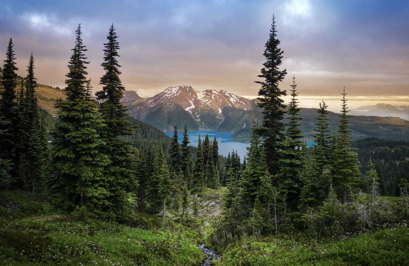 A lake with trees and mountains in the background.