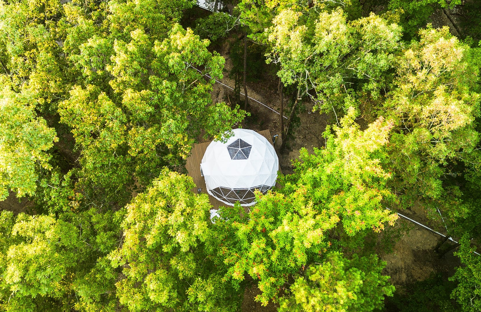 An aerial view of an expanded resort in the middle of a forest, known as Starlight Haven.