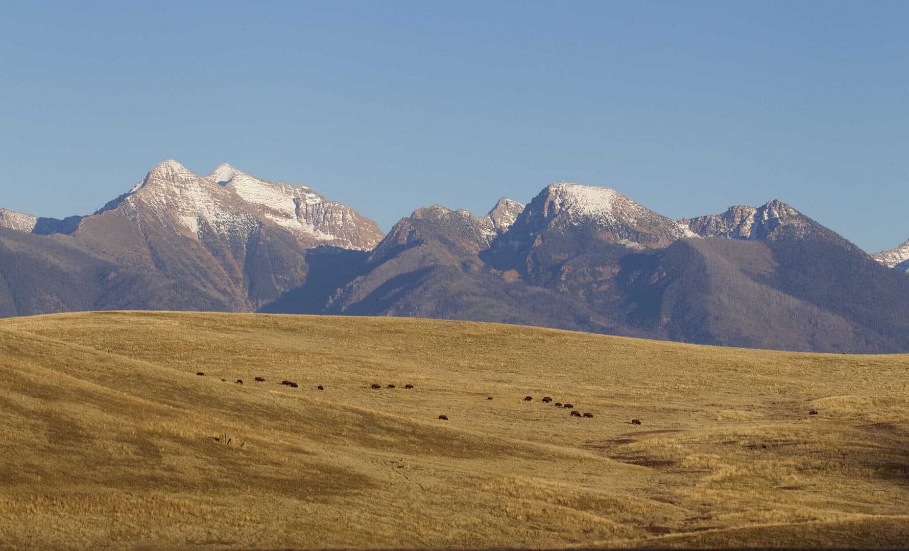 A mesmerizing view of the Kootenai mountain range in the distance.
