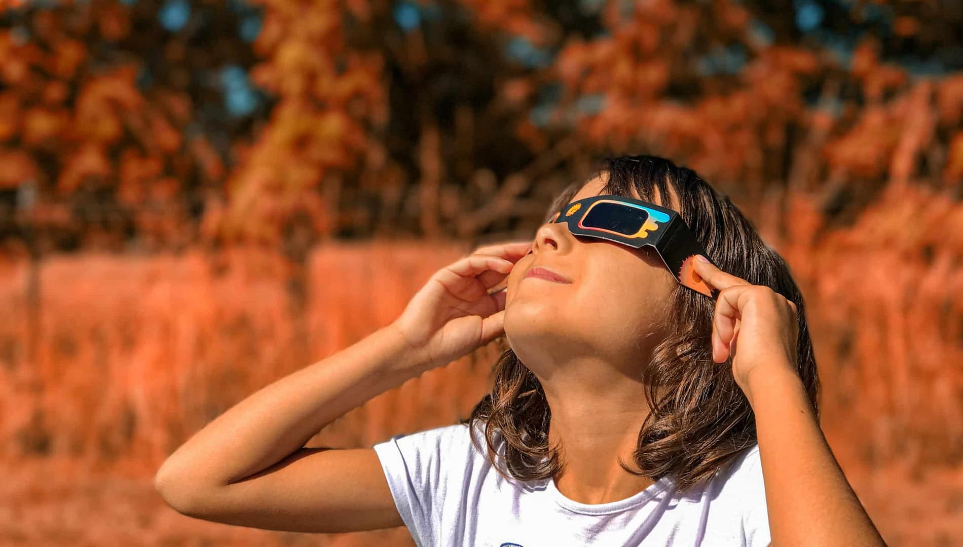 Child wearing eclipse glasses looks up at the sky with a background of autumnal trees.