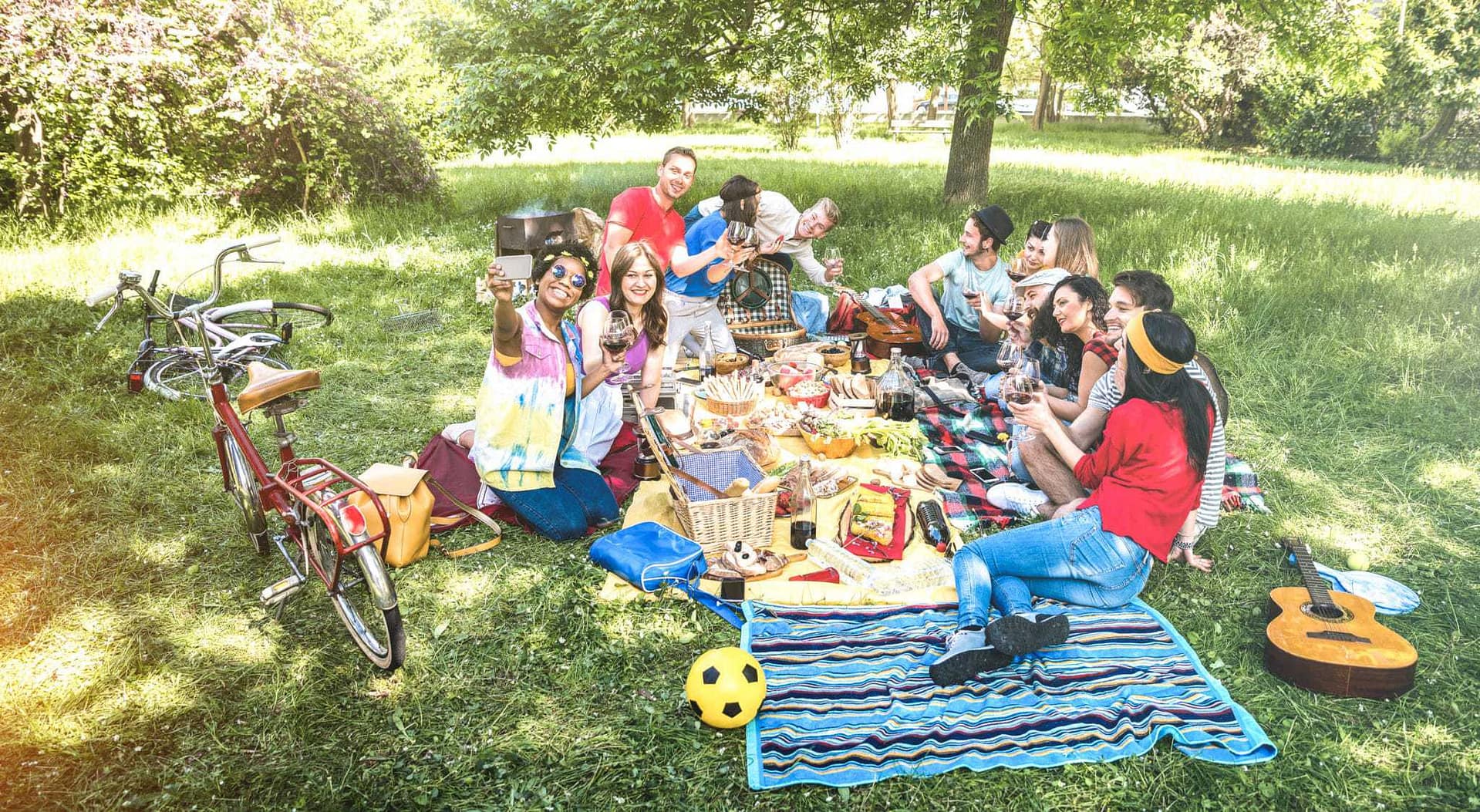 A group of people sitting on a blanket in a park celebrating their 50th Anniversary.