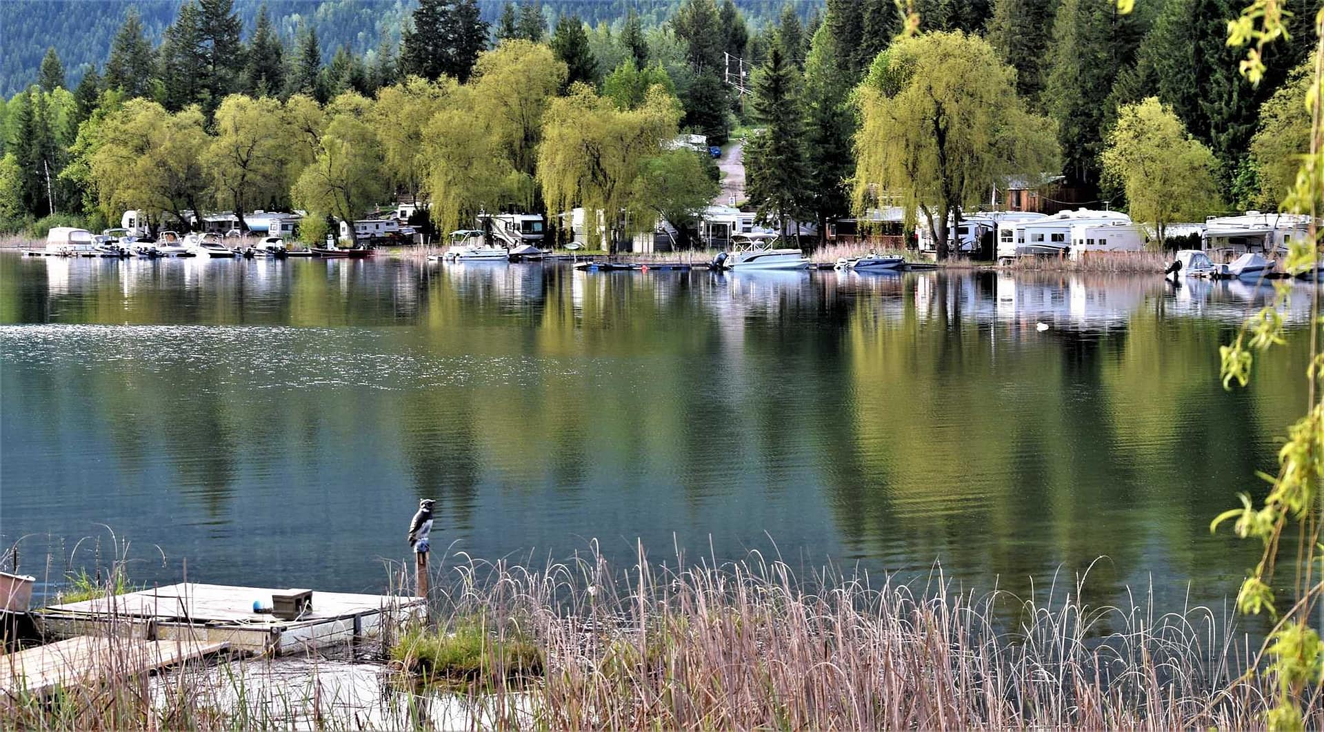 White Lake RV & Fishing Resort is a picturesque retreat nestled among trees, offering visitors the perfect escape to a tranquil lake setting.