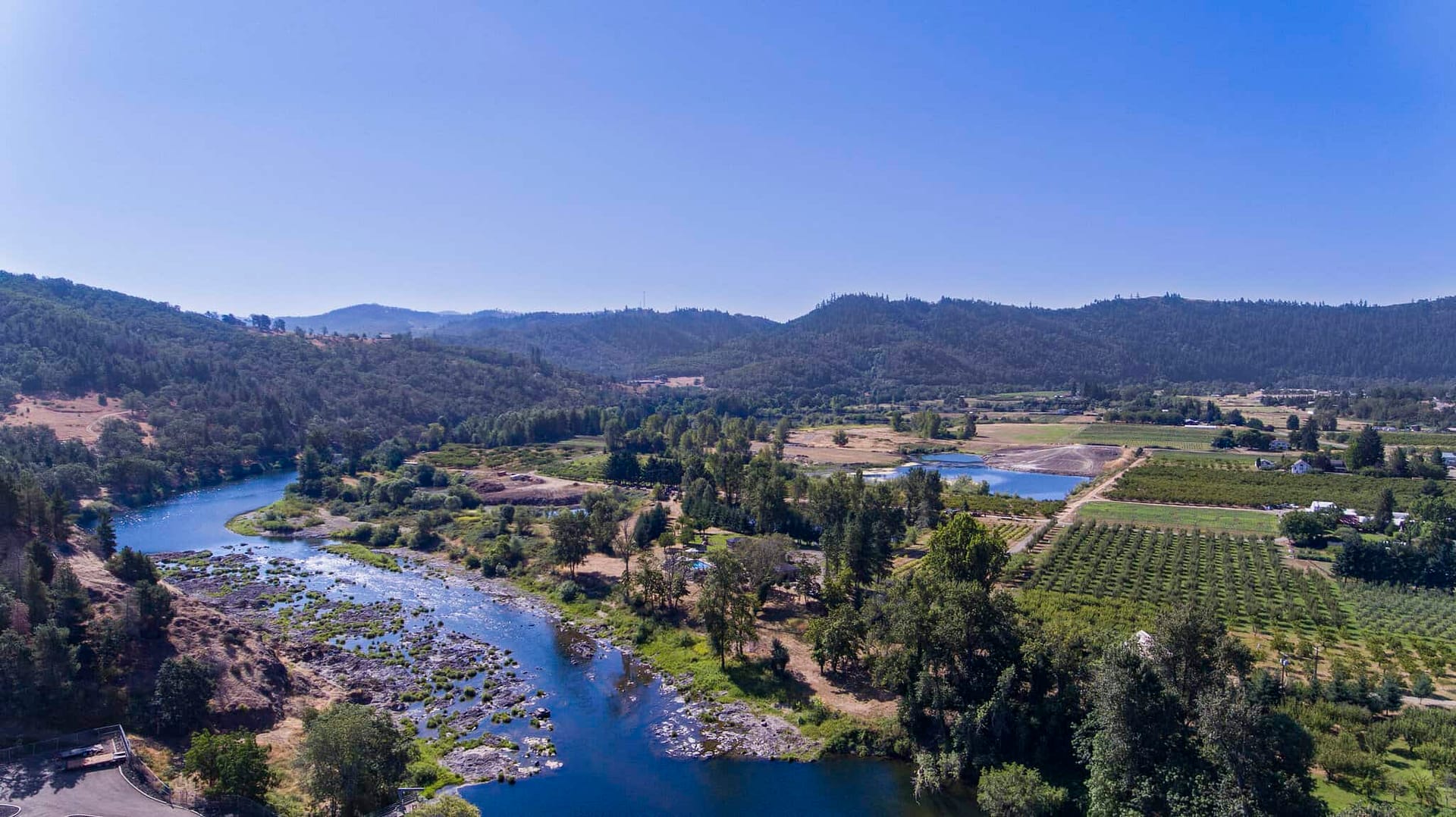 An aerial view of a vineyard and river with blue water.