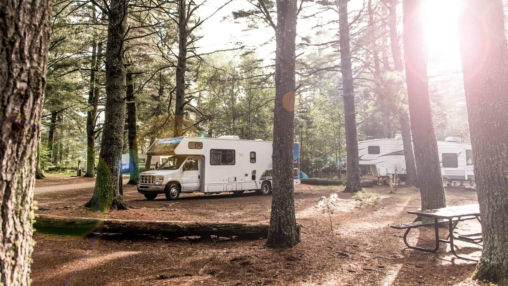 A serene campground for sale, nestled in a wooded area with a picturesque group of RVs.