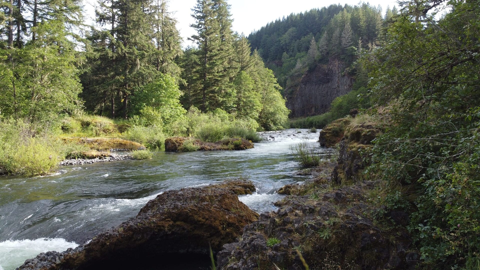 Cedar Grove Campgrounds is a picturesque location nestled amidst the lush tree-filled surroundings and rugged rock formations. Here, campers can enjoy the serene beauty of a river winding through the landscape, creating