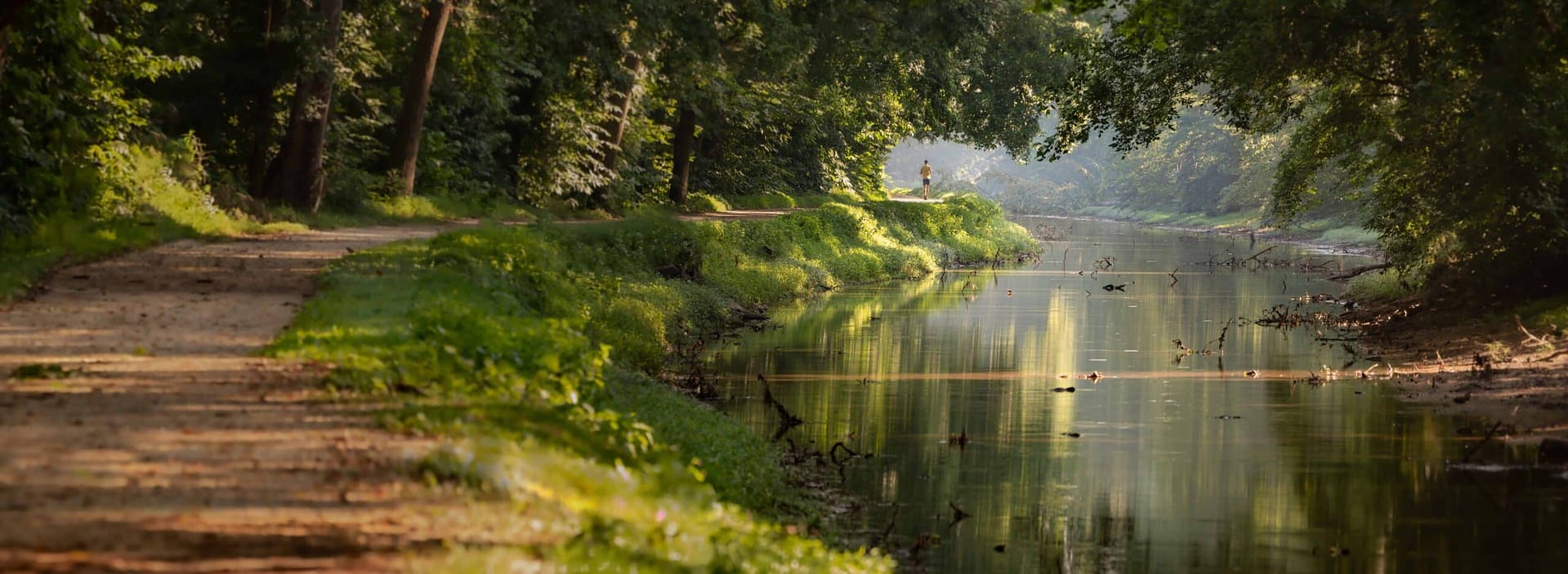 A river running through a forest with trees in the background, located in Maryland's state parks.