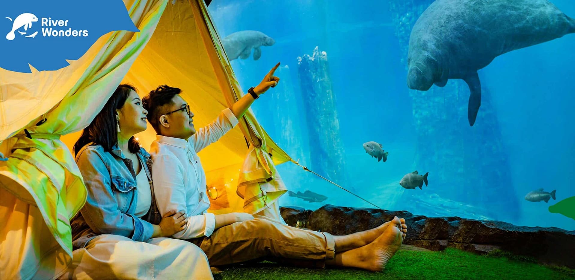 Two people enjoying aquatic glamping in a tent with a manatee in the background.