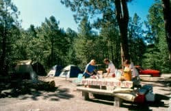 A group of people at a picnic table in a wooded area on Mt. Lemmon, enjoying Memorial Day at the campgrounds.