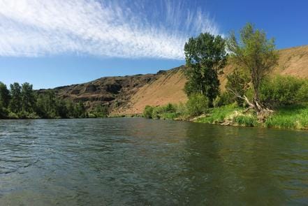 A river flowing through Yakima Canyon, with trees and hills in the background.