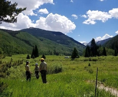 A group of people standing in a grassy field with mountains in the background, participating in hazard tree clearing at Yeoman Park Campground.