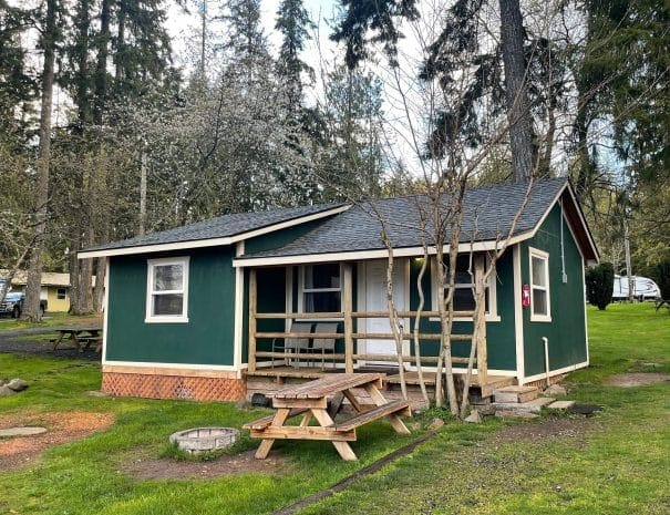 A green cabin in the woods near Silver Lake Resort with a picnic table.