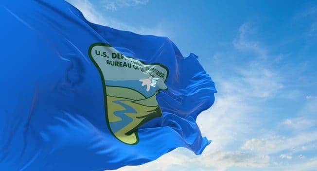 BLM Hosting a blue flag waving in the wind against a blue sky during the Southeast Wyoming Land Exchange at a Virtual Public Meeting.