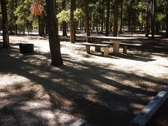 A picnic table situated in the middle of Basin Campground, which recently reopened after being affected by historic floods.