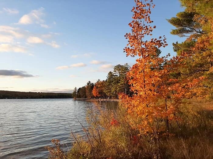 A view of Otsego Lake State Park with trees in the fall.