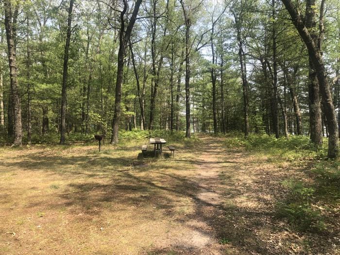 A trail in the Huron-Manistee National Forests with a picnic table.