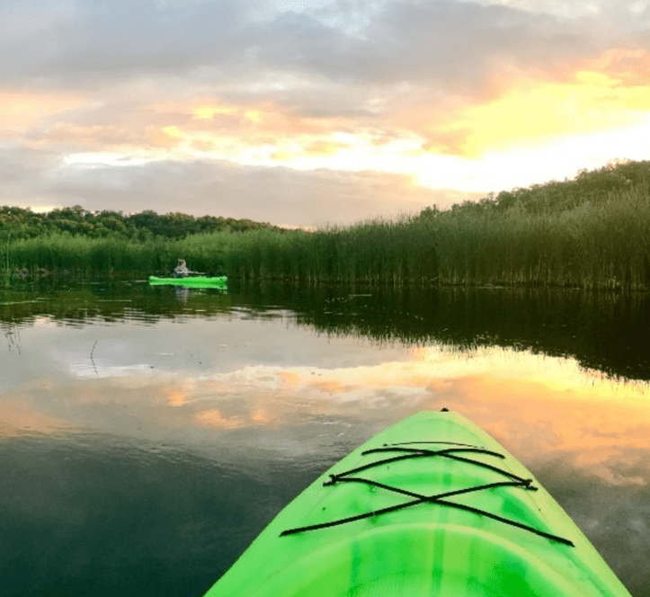 A green kayak on Lake Minnewasta with reeds in the background.