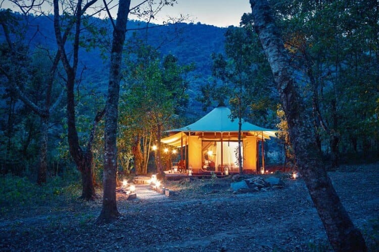 An Eco-Glamping tent is beautifully lit up in the woods at dusk during the Hornbill Festival.
