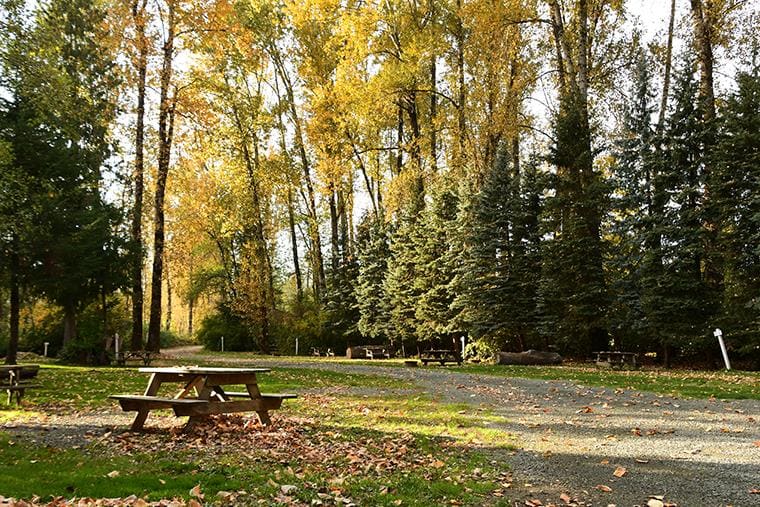 The Vedder River Campground offers a serene escape with picnic tables and trees in the fall.