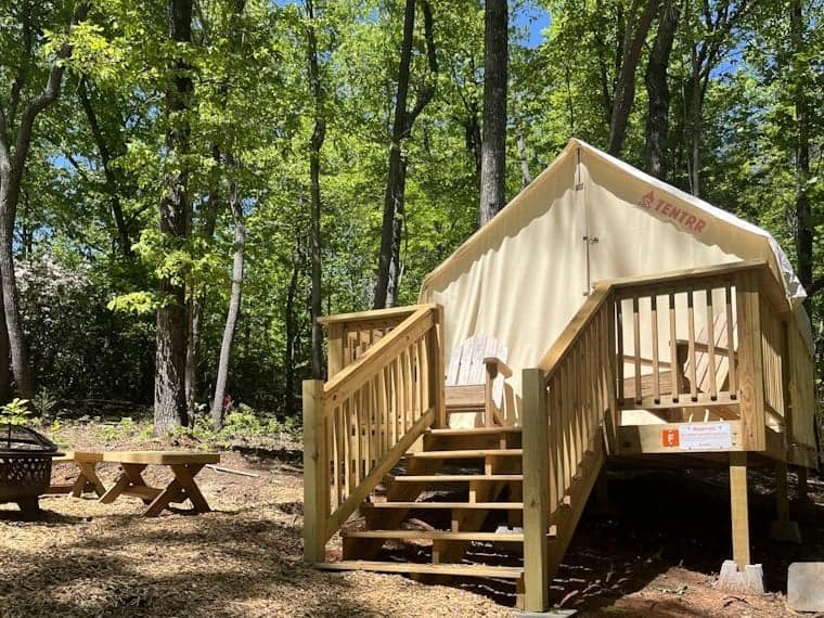 A Tentrr site nestled in the enchanting woods of a South Carolina State Park, with steps leading up to the cozy tent.