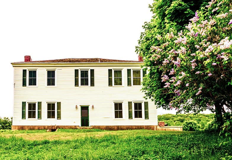 Description : A unique white house with lilacs in the front yard.