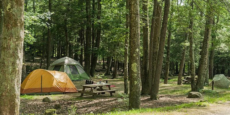 Rhode Island State Campgrounds attract campers with tents in the woods.
