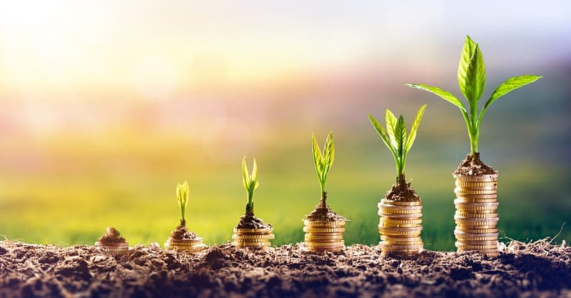 A stack of coins with a plant growing out of them, perfect for showcasing a unique investment opportunity during the Seed Investment Round.