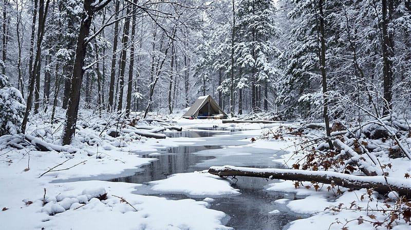 A snowy campsite in a forest showing fallen branches and ice patches after a winter storm, with no people present, under overcast skies.