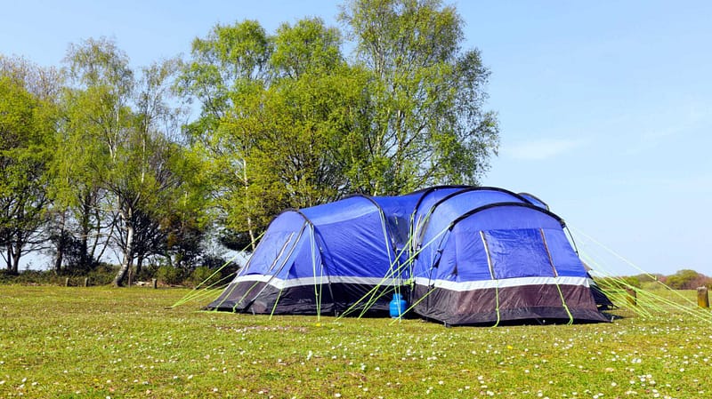 Forestry England acquires a tent in a field at one of its forest campsites.