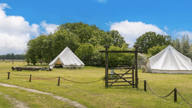 A group of white tents in a field, perfect for glamping at Brackenside Stables.