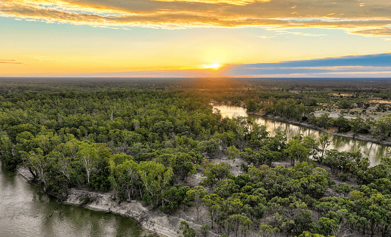 An aerial view of a partially reopened Katarapko Campground and Murray River National Park at sunset, showcasing the magnificent river and trees.