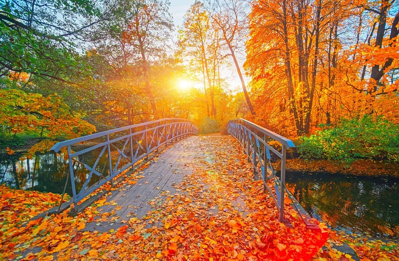 A upgraded bridge over a river in an autumn park managed by Parks Canada.