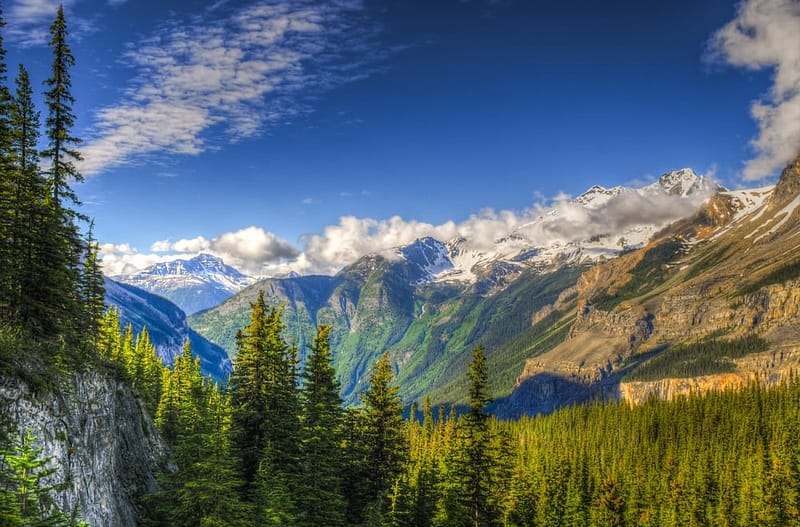 The Campnab service provides Milestone users with Campsite Availability Alerts, allowing them to easily track and be notified about the availability of campgrounds.