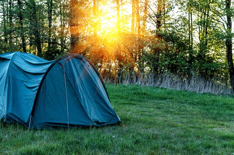 A camping tent set up in a grassy area with trees in the background.