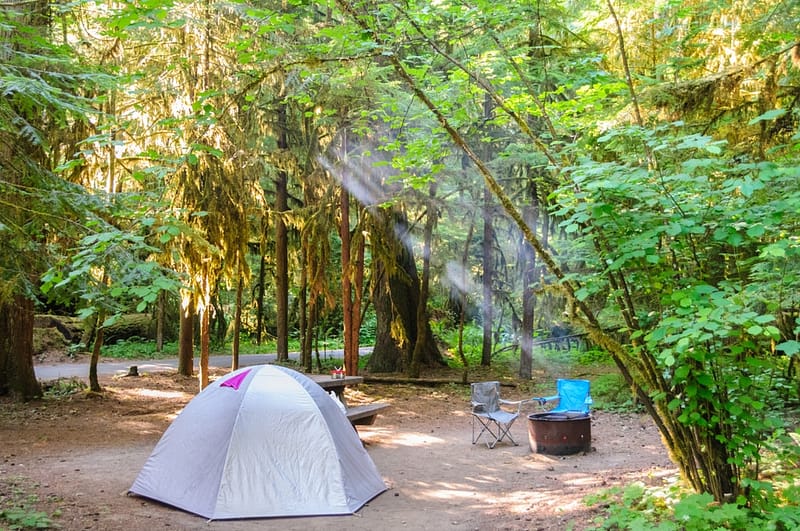 A tent is set up in Mount Rainier National Park, specifically at the La Wis Wis Campground.