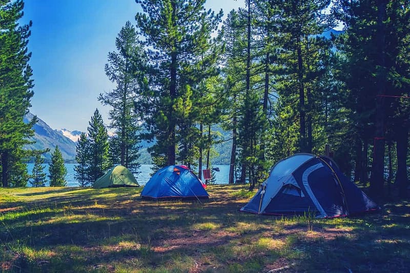 A sleepy explorer's nature-lover's retreat, comprising of tents set up in the woods near a lake.