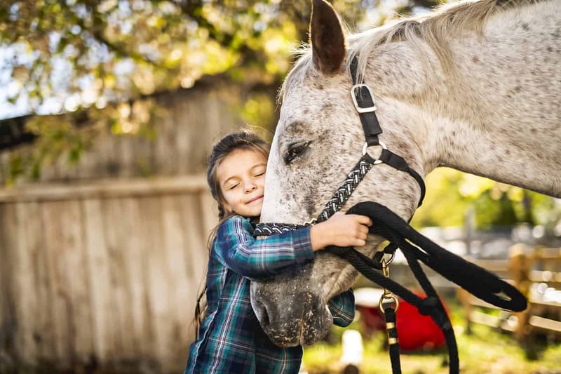 A girl hugging a horse at a Riding for Disabled campdraft.