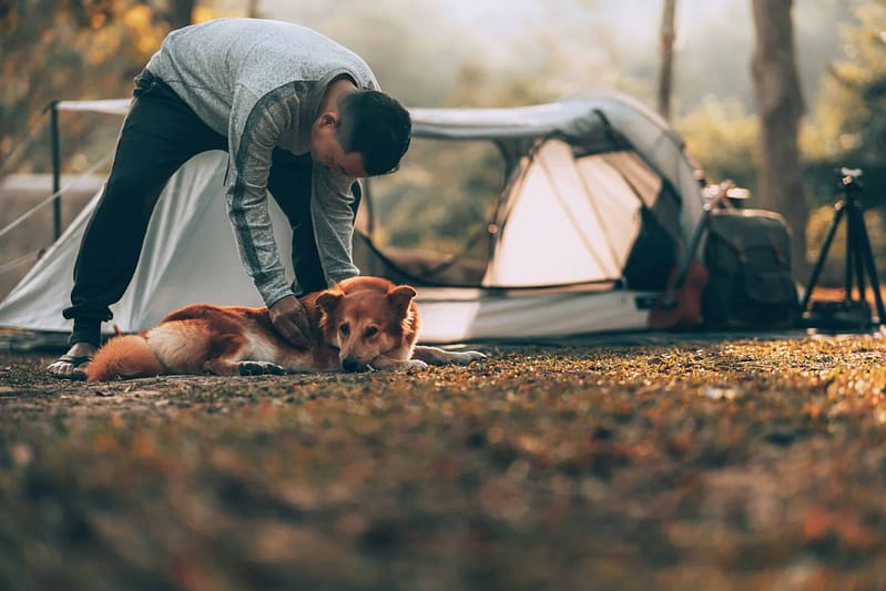 A man enjoying a camping experience with his dog in front of a tent at a dog-friendly campground in the U.S.