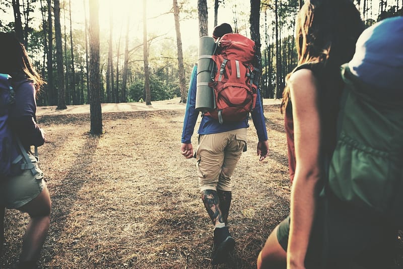 A group of people participating in CARVC's 2022 Conference walking through the woods with backpacks.