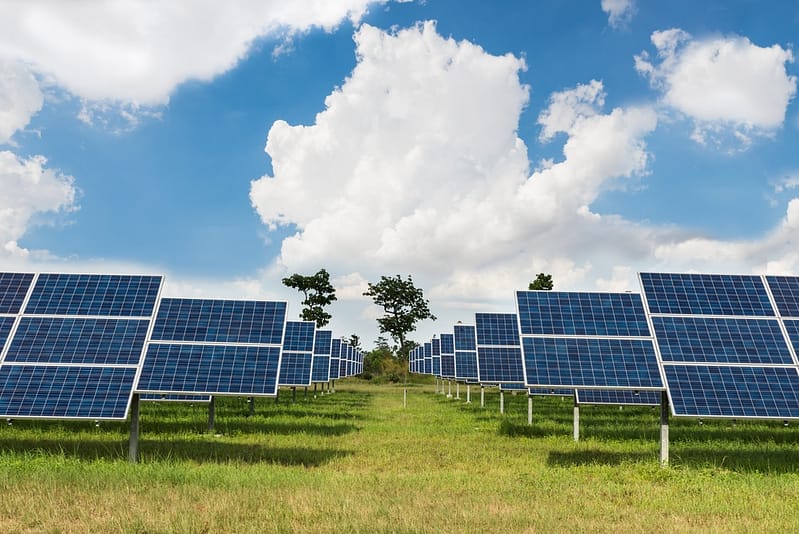 Solar panels in a field under a blue sky.