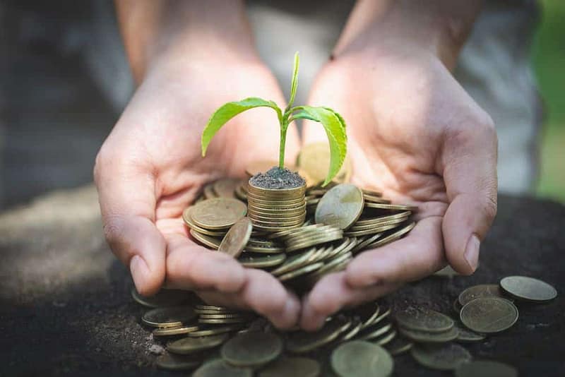 Hands holding coins with a plant growing out of them, symbolizing the importance of wildlife conservation.