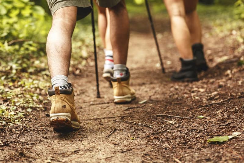 Two residents walking on a trail in the woods of Washington State Parks.