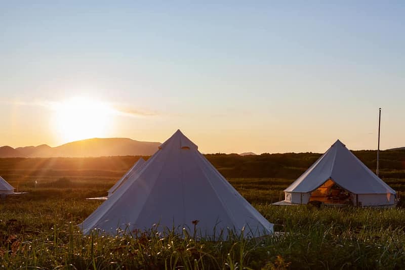 Glamping pitches set up in a field at West Bay, with white tents creating a picturesque scene at sunset.