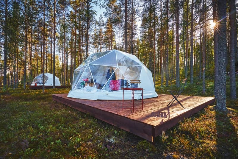 Two white igloo tents nestled in the woods, offering a luxurious glamping experience.