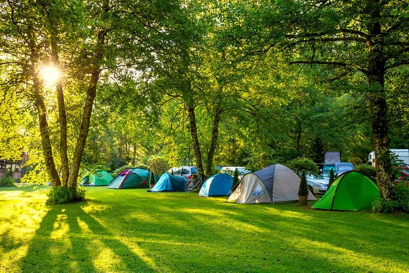 LeadingCampings in Europe offers camping tents in a grassy area with trees in the background.