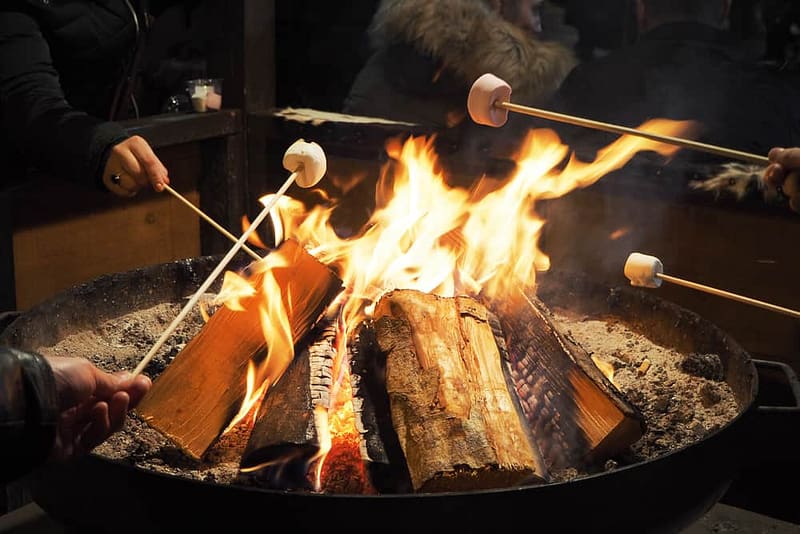 The Director of Franchise Sales for Yogi Bear's Jellystone Park oversees a group of people sitting around a campfire with marshmallows.