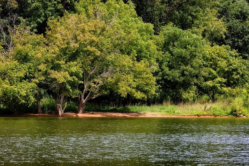 A lake surrounded by new campgrounds and Tennessee State Parks.