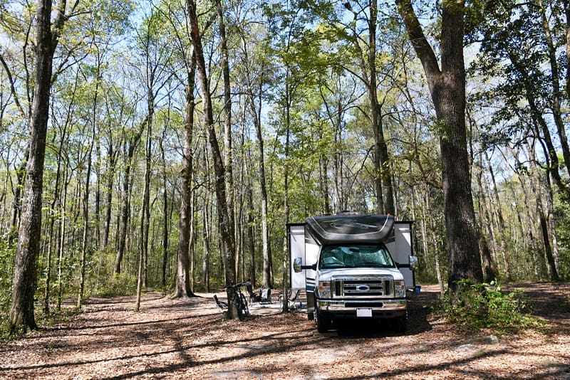 A Florida RV resort nestled in a wooded area, attracting locals.
