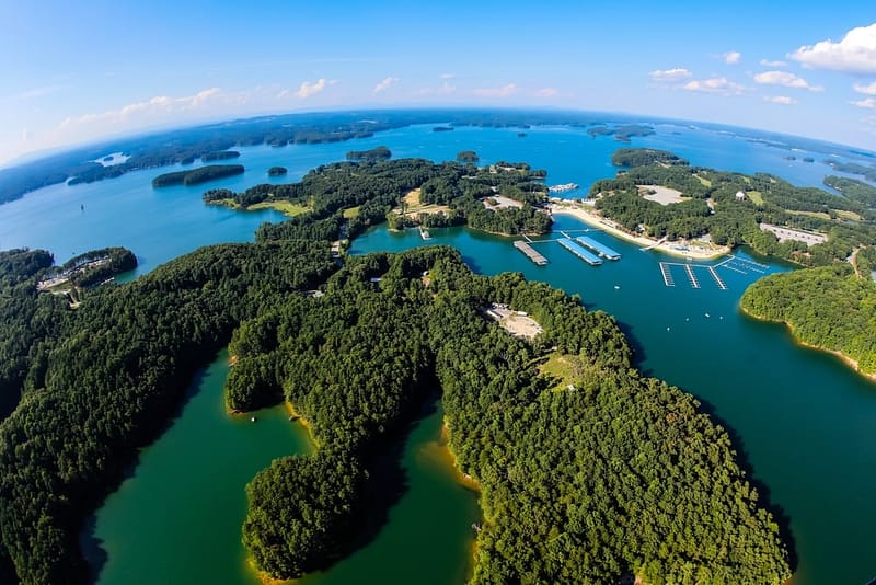 An aerial view of Lake Lanier, a serene body of water nestled amidst dense trees.